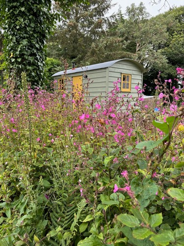 Garden room - garden,